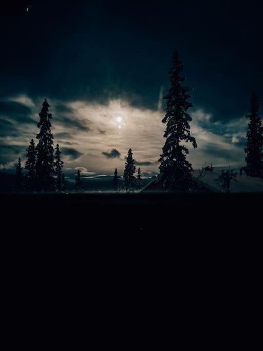 Peaceful Oasis. Panoramic Forest- & Mountain View. Sauna. Beitostolen Esterno foto